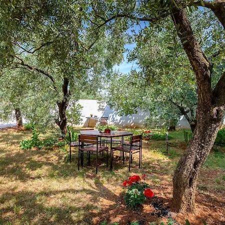 Letizia Appartement *